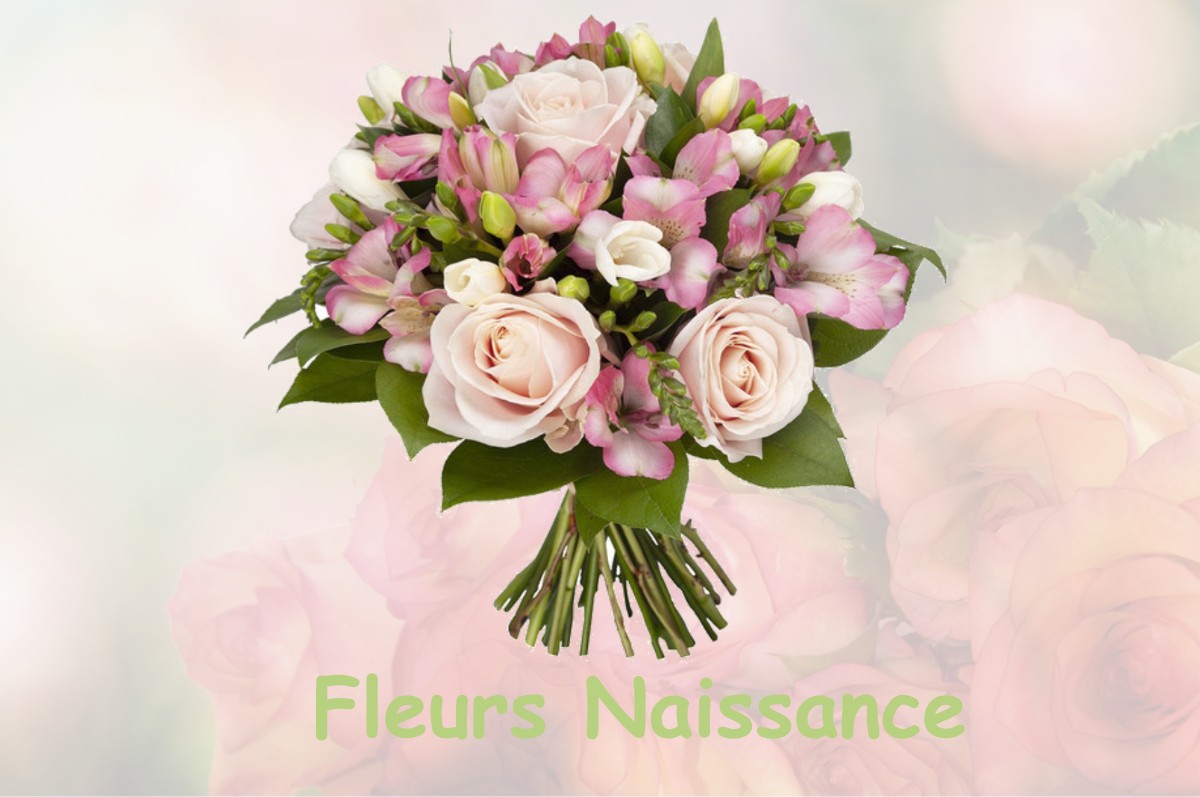 fleurs naissance SAINT-QUENTIN-FALLAVIER