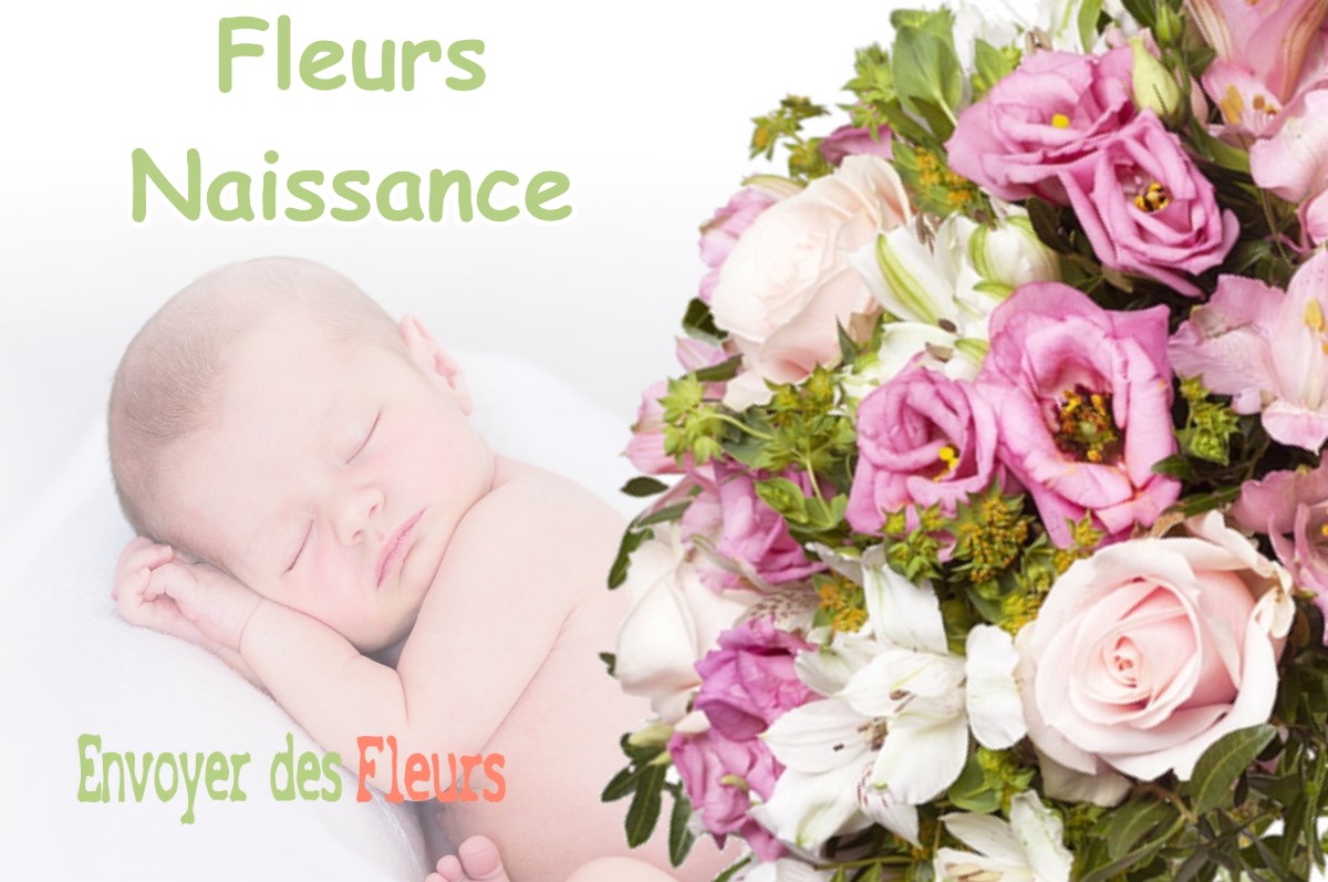 lIVRAISON FLEURS NAISSANCE à SAINT-QUENTIN-FALLAVIER